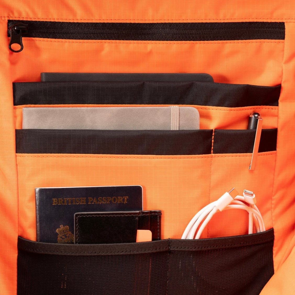 Travel Companion The Rolltop Backpack