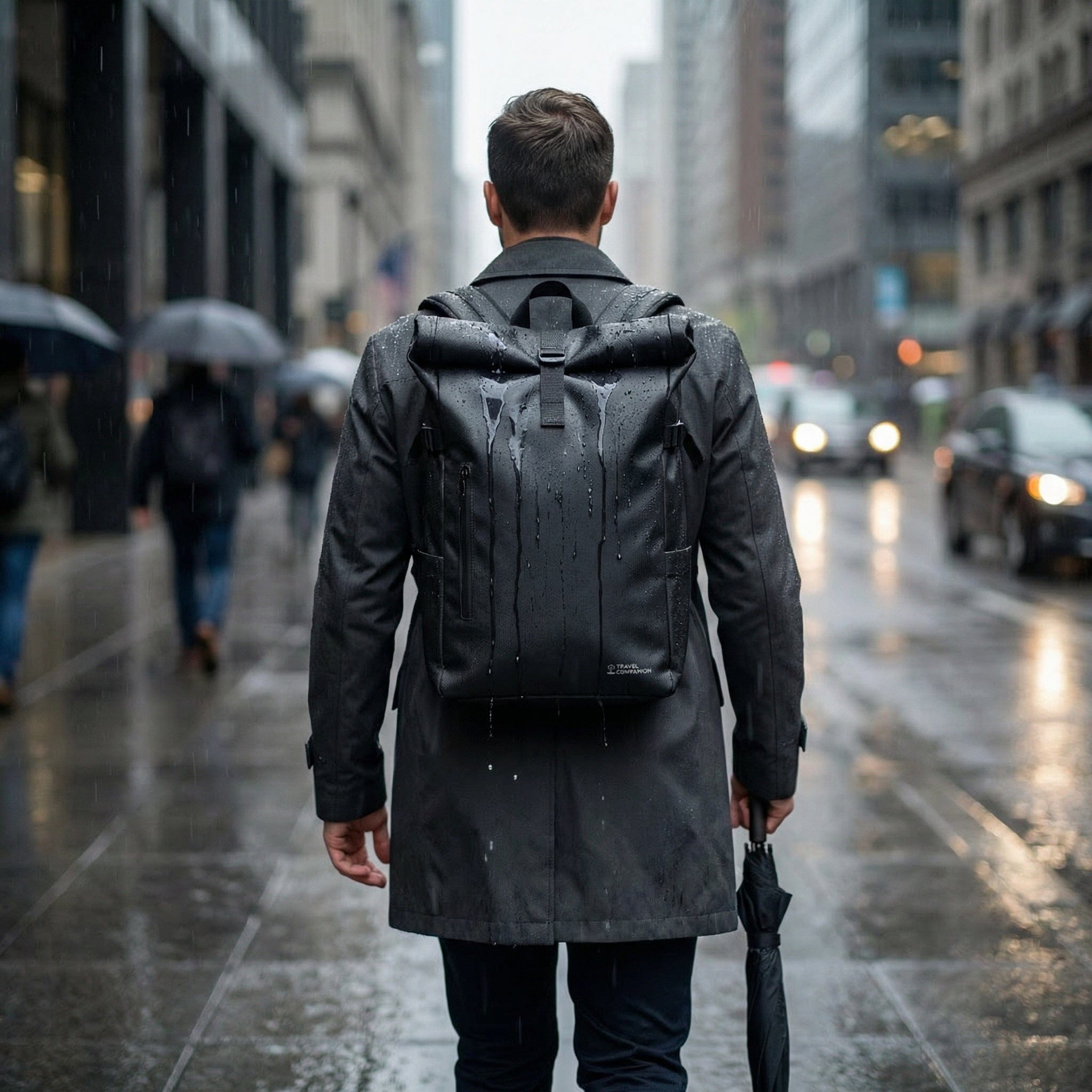 Travel Companion Black The Rolltop Backpack