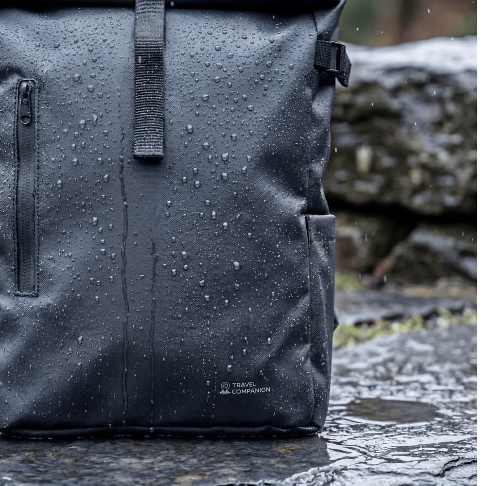 Travel Companion Black The Rolltop Backpack