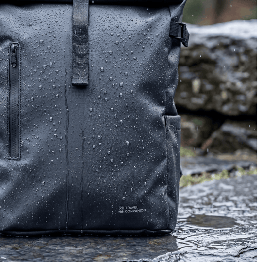 Travel Companion Black The Rolltop Backpack