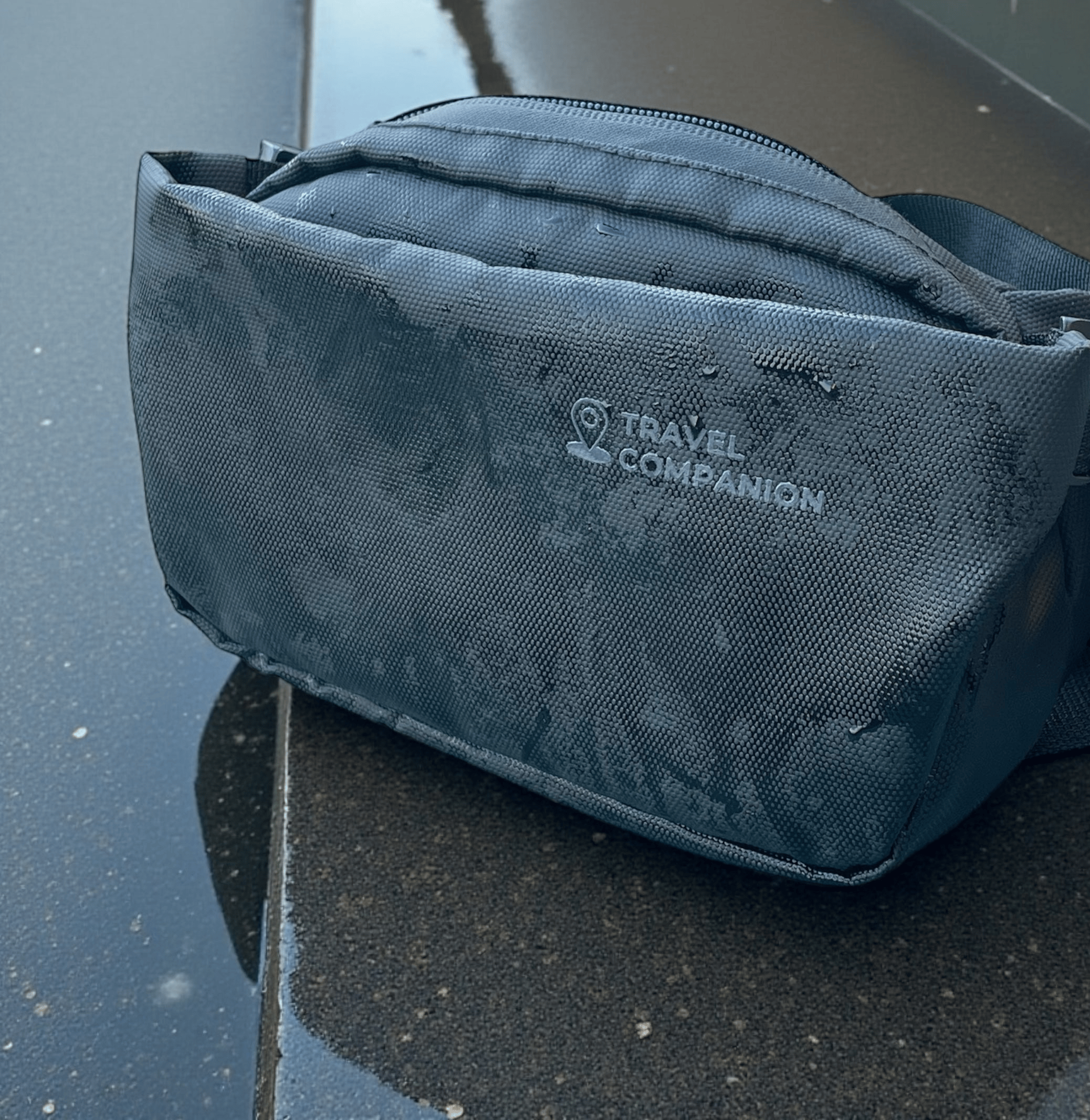 Travel Companion Crossbody Bag