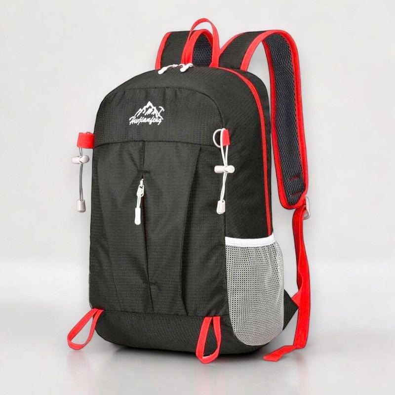 Travel Companion Foldable Backpack